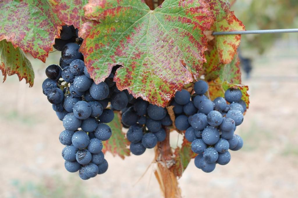 Miraluna Bodega Boutique Качі Екстер'єр фото