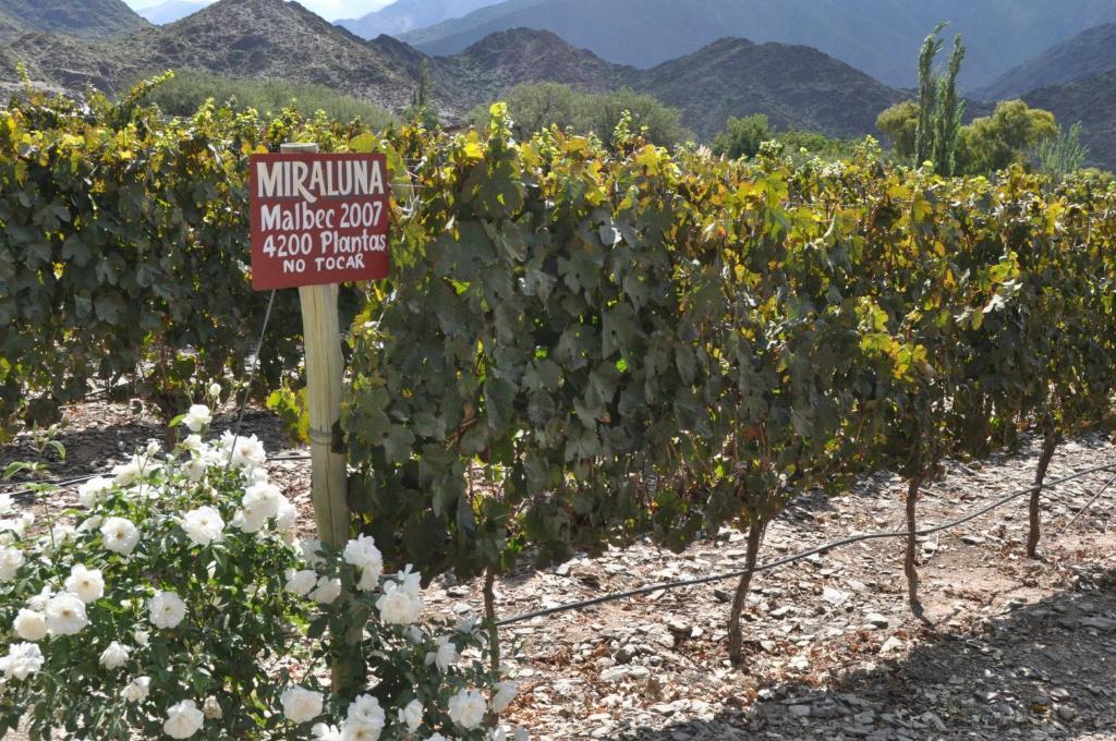 Miraluna Bodega Boutique Качі Екстер'єр фото